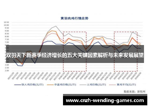 双羽天下新赛季经济增长的五大关键因素解析与未来发展展望