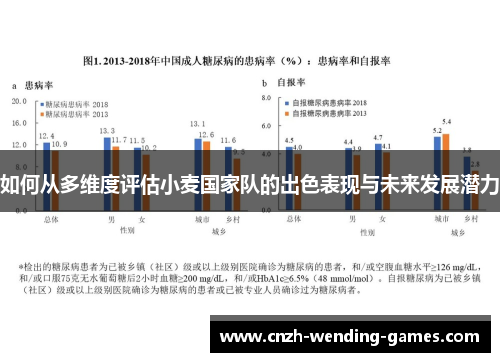 如何从多维度评估小麦国家队的出色表现与未来发展潜力