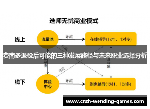 费南多退役后可能的三种发展路径与未来职业选择分析