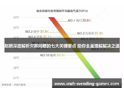 赵鹏深度解析欠薪问题的七大关键要点 助你全面理解解决之道
