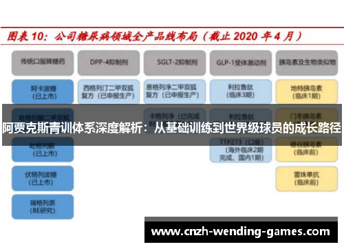 阿贾克斯青训体系深度解析：从基础训练到世界级球员的成长路径