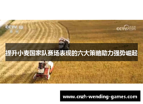 提升小麦国家队赛场表现的六大策略助力强势崛起