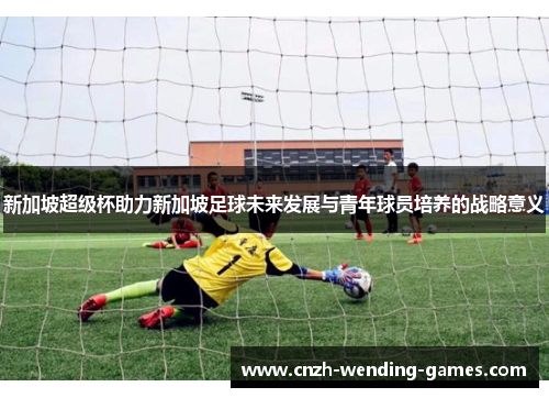 新加坡超级杯助力新加坡足球未来发展与青年球员培养的战略意义