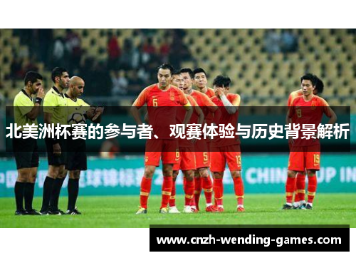 北美洲杯赛的参与者、观赛体验与历史背景解析